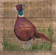 Pheasant